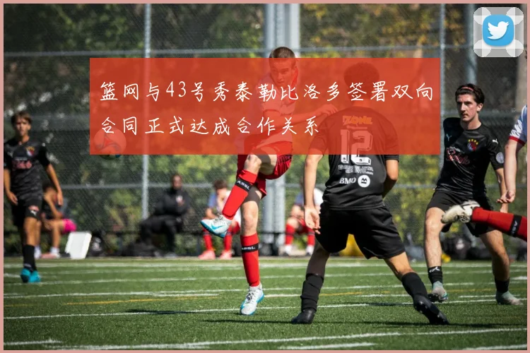 篮网与43号秀泰勒比洛多签署双向合同正式达成合作关系