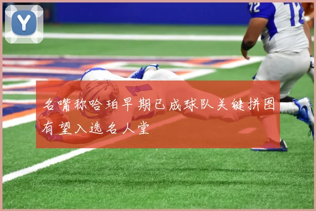 名嘴称哈珀早期已成球队关键拼图有望入选名人堂