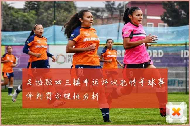 足协驳回三镇申诉评议孔特手球事件判罚合理性分析